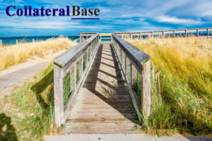 Michigan Marijuana Business Lawyer