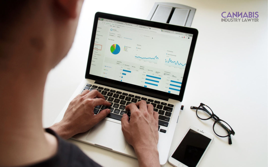 How to Build Cash Flow Statement for Your Cannabis Business