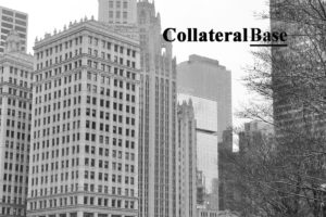 Illinois LLC Attorney