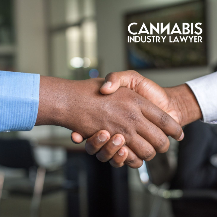 what type of company is right for cannabis